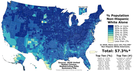 Non-Hispanic_White_Americans_by_county (1).png