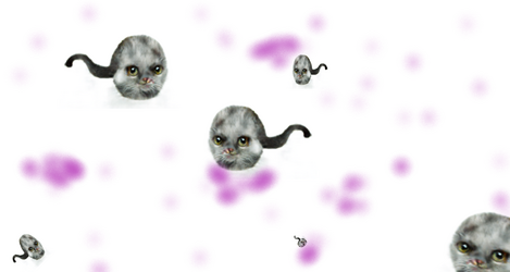 grow.png