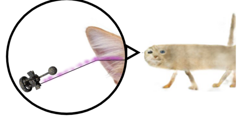 allaboard.png