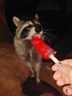 20230214_225110.jpg