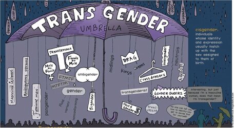 trans-umbrella.jpg