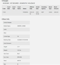 Extra Charge Info.jpg