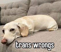 wrongs.jpg