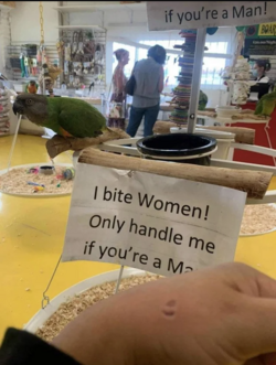 menss.png