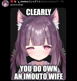 vt1.png