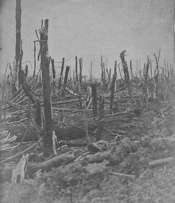 No man's land.png