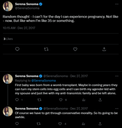 FireShot Capture 030 - Serena Sonoma on Twitter_ _Random thought - I can’t for the day I can_ ...png