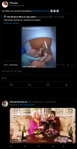 FireShot Capture 031 - Princess on Twitter_ _Us after our womb transplant @SerenaSonoma 💀💀_ - ...png