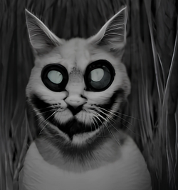 ccatt.png