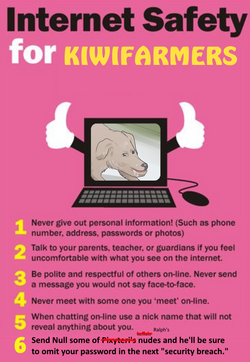 Internet Safety 2023 edition.png