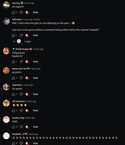 comments 4.JPG