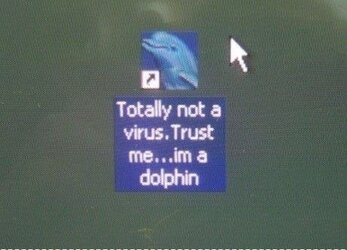 dolphin.jpg