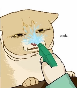 ackk.png