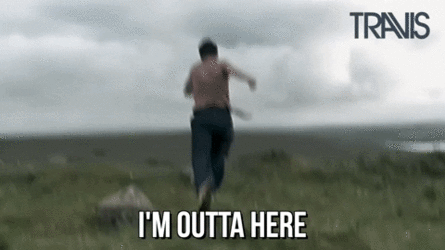 giphy.gif