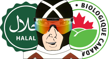 cx ava.png