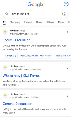 KiwiGoogleSearch.png