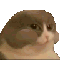 wlj4fe.gif