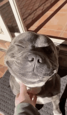 D66A6772-9BEF-4795-BB51-60585F9A0C49.gif