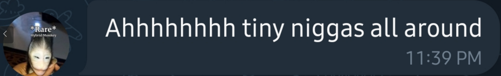 1678458332552.png