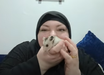 1678503178321.png
