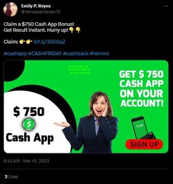 scam4.jpg