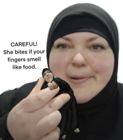 Screenshot_20230310-233208.png