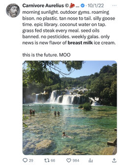 21B29963-414D-46F4-B550-86CF785BD703.jpeg
