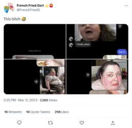 Screenshot_2023-03-11 French Fried Gorl 🖕🍟 on Twitter.png