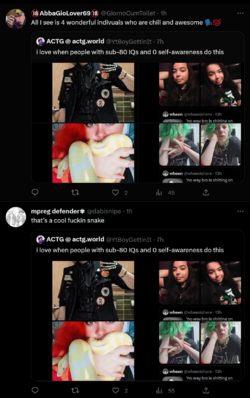 twt39.png