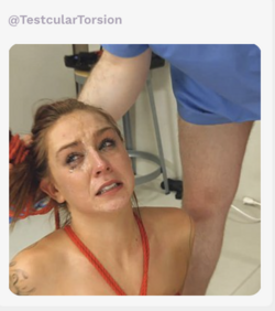 1678637033993.png