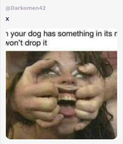 1678637085998.png
