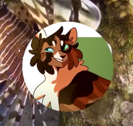 orion pfp.PNG