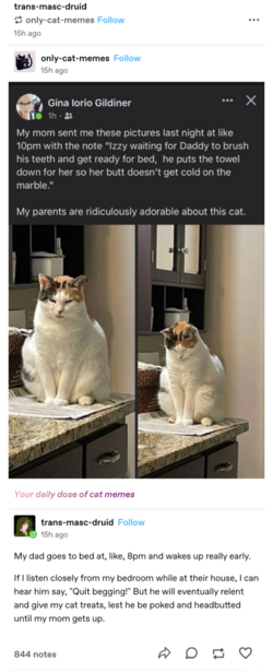 EE5B95BC-360B-436F-894C-0D26D906E08B.png