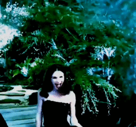 D365 005.gif