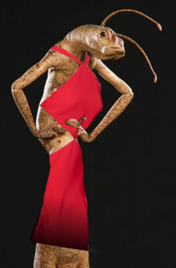 D365 LL 12.png