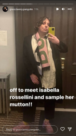Stories-•-Instagram (13).png