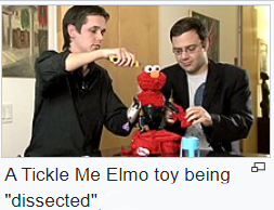 dissected.png