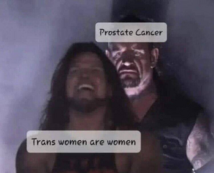 1678897862794.png