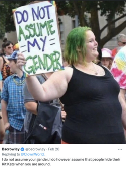 1678897920671.png