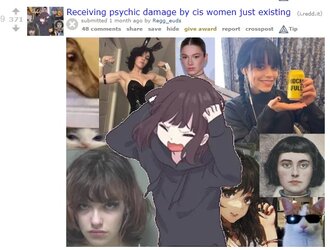rttttrans.jpg