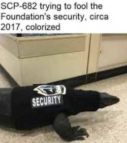 8DFDC303-8DA0-4861-9894-B28EBF4A13D0.jpeg