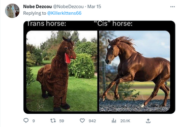 horse.png