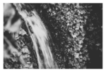 don't_go_chasing_waterfalls.png