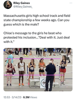 1679083029534.png
