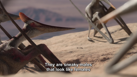 ptrannydactyl.png