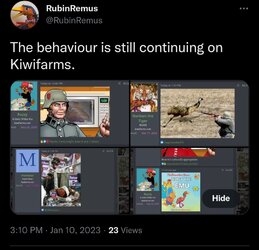Screenshot_20230110-153410_Brave.jpg