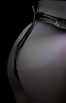 Back_view_detailWeb.JPG