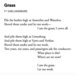 grass.png