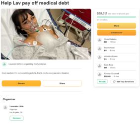 Lav GoFundMe post 3.PNG