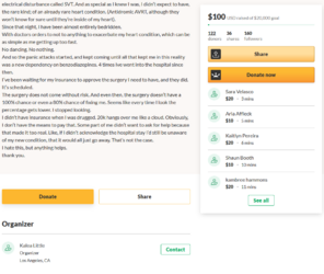 Lav GoFundMe post 2.PNG